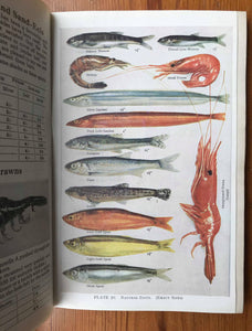 Hardy's Anglers' Guide, Coronation Number 1937