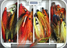 Load image into Gallery viewer, 40 Salmon Tube Flies
