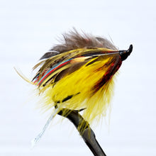 Load image into Gallery viewer, &quot;Flood Tide&quot; Double Hook, Salmon-fly 5/0