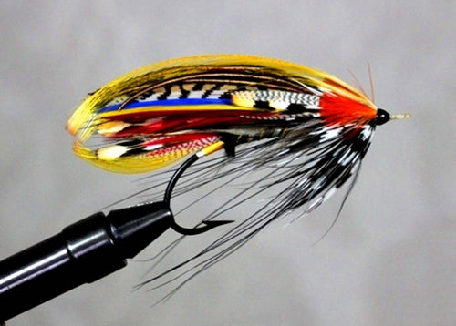 Salmon Fly, By Davie McPhail