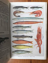 Load image into Gallery viewer, Hardy&#39;s Anglers&#39; Guide, Coronation Number 1937